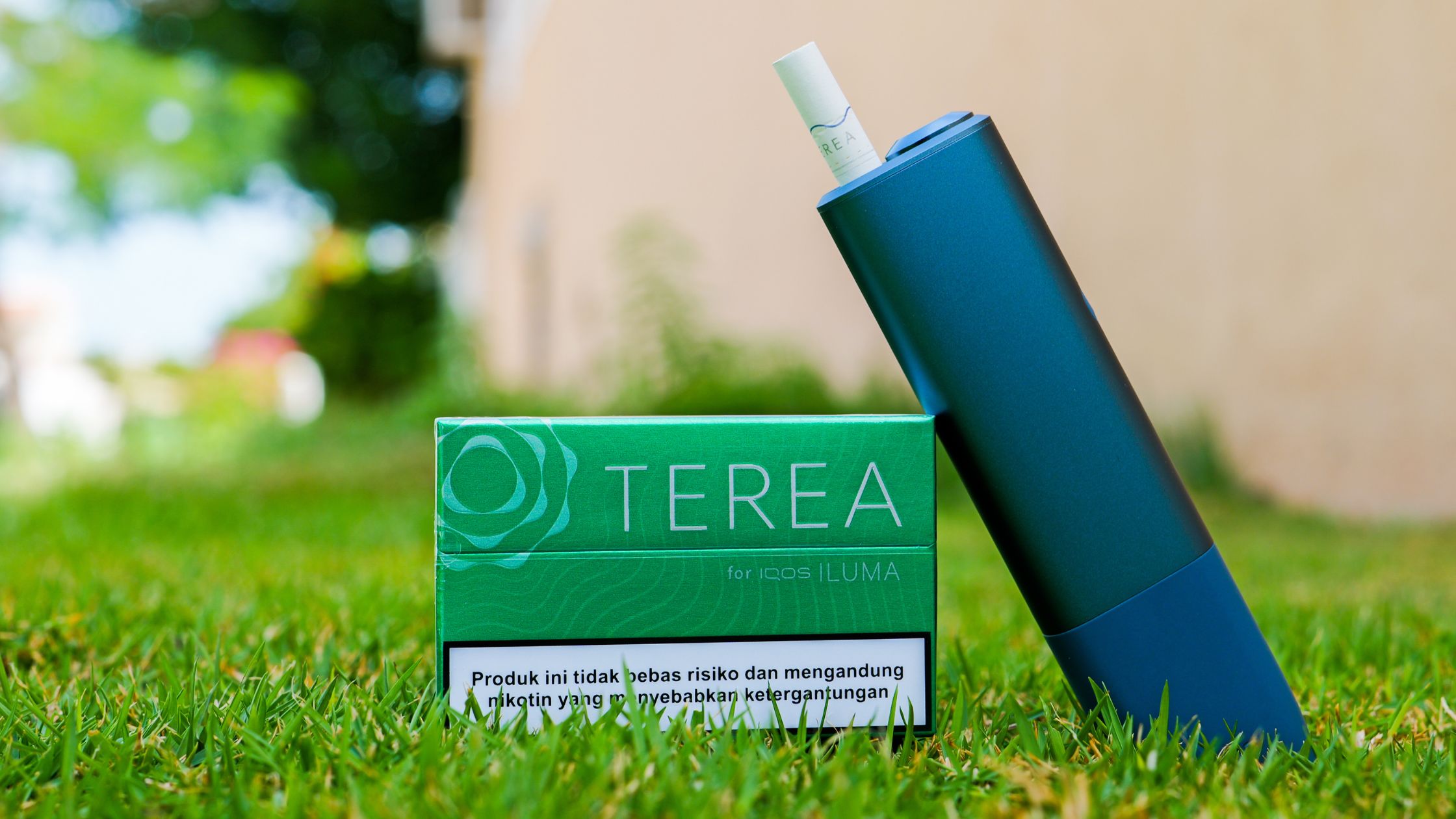 IQOS Terea Dubai