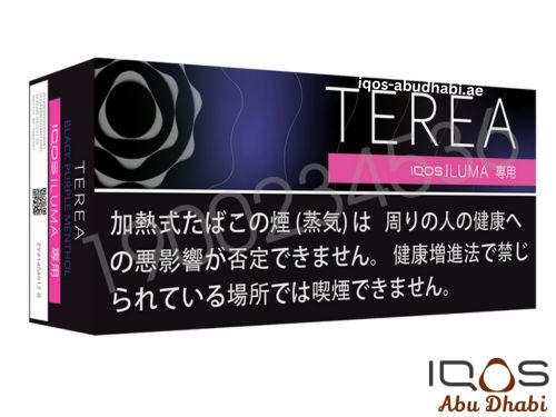 TEREA Black Purple Menthol
