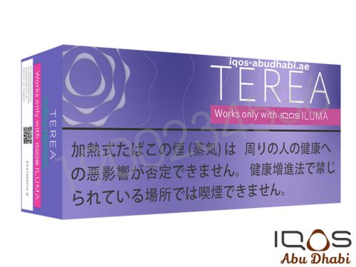 TEREA Purple Menthol