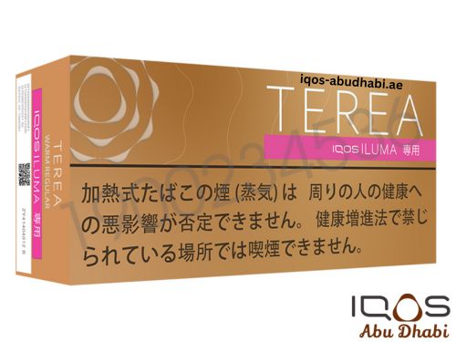 TEREA Warm Regular